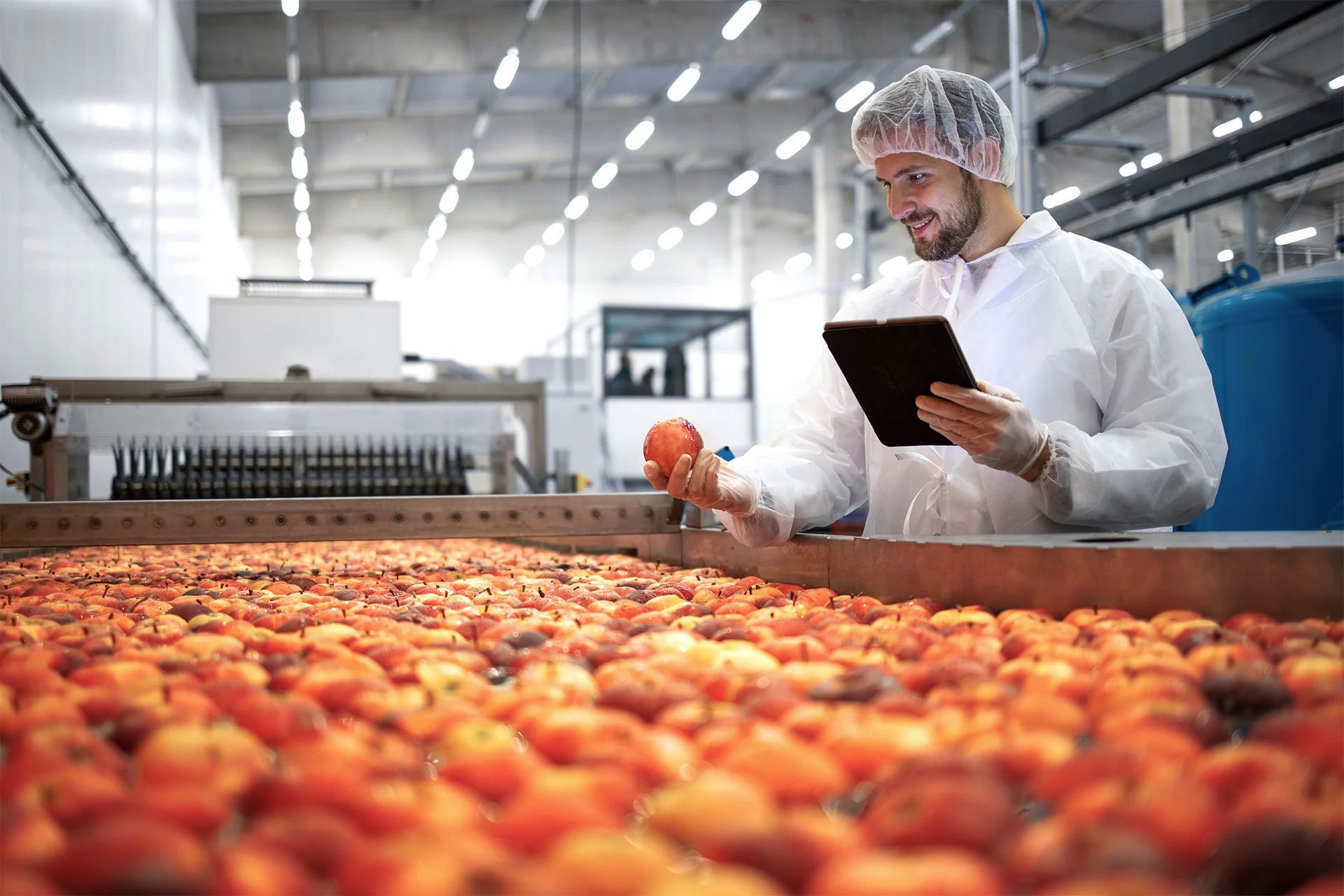ISO 22005 2007 Traceability In The Food Production Chain
